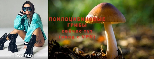 эйфоретик Бронницы