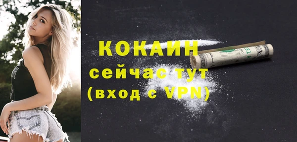 бошки Ладушкин
