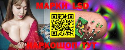дмт Шебекино
