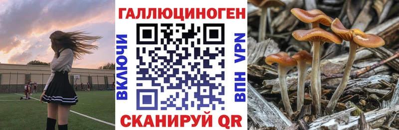 наркота  Верхний Уфалей  Галлюциногенные грибы MAGIC MUSHROOMS 