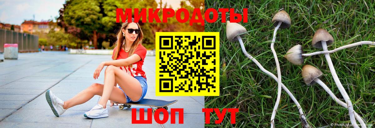 Галлюциногенные грибы мицелий  Вход с VPN  Верхний Уфалей 